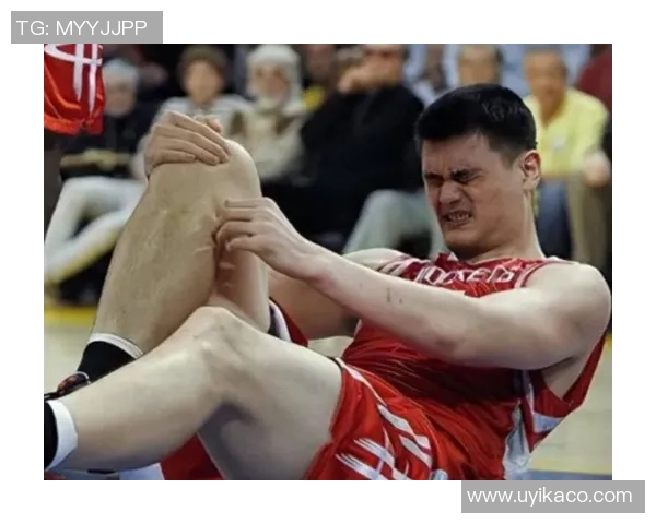 姚明荷叶头的独特魅力与篮球生涯的完美结合探讨